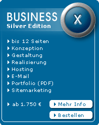 7 Business Silver