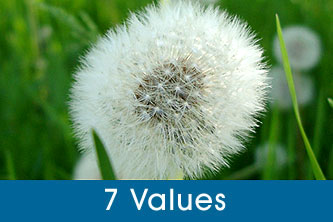7 Values